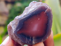 Polished Red Sashe River Agate Nodules x 20 From Sashe River, Zimbabwe - Toprock Gemstones and Minerals