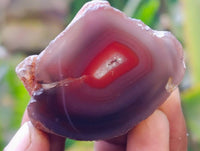 Polished Red Sashe River Agate Nodules x 20 From Sashe River, Zimbabwe - Toprock Gemstones and Minerals