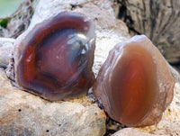 Polished Red Sashe River Agate Nodules x 20 From Sashe River, Zimbabwe - Toprock Gemstones and Minerals