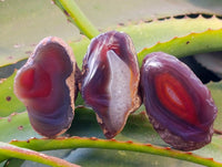 Polished Red Sashe River Agate Nodules x 20 From Sashe River, Zimbabwe - Toprock Gemstones and Minerals