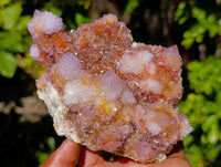 Natural Ametrine Spirit Quartz Clusters x 2 From Boekenhouthoek, South Africa - Toprock Gemstones and Minerals