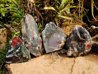 Natural Cobbed Bloodstone Specimens x 4 From Swaziland - Toprock Gemstones and Minerals