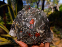 Natural Cobbed Bloodstone Specimens x 4 From Swaziland - Toprock Gemstones and Minerals