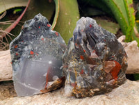 Natural Cobbed Bloodstone Specimens x 4 From Swaziland - Toprock Gemstones and Minerals