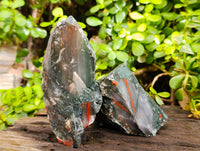 Natural Cobbed Bloodstone Specimens x 4 From Swaziland - Toprock Gemstones and Minerals