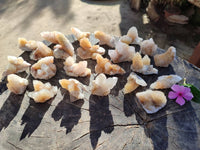 Natural Golden Limonite Coated Spirit Quartz Crystals x 35 From Boekenhouthoek, South Africa - Toprock Gemstones and Minerals