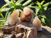 Natural Golden Limonite Coated Spirit Quartz Crystals x 35 From Boekenhouthoek, South Africa - Toprock Gemstones and Minerals