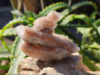 Natural Golden Limonite Coated Spirit Quartz Clusters x 12 From Boekenhouthoek, South Africa - Toprock Gemstones and Minerals