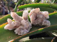 Natural Golden Limonite Coated Spirit Quartz Clusters x 12 From Boekenhouthoek, South Africa - Toprock Gemstones and Minerals