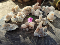 Natural Golden Limonite Coated Spirit Quartz Clusters x 12 From Boekenhouthoek, South Africa - Toprock Gemstones and Minerals