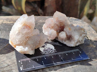 Natural Golden Limonite Coated Spirit Quartz Clusters x 12 From Boekenhouthoek, South Africa - Toprock Gemstones and Minerals