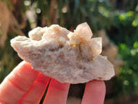 Natural Golden Limonite Coated Spirit Quartz Clusters x 12 From Boekenhouthoek, South Africa - Toprock Gemstones and Minerals