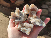 Natural Golden Limonite Coated Spirit Quartz Clusters x 12 From Boekenhouthoek, South Africa - Toprock Gemstones and Minerals