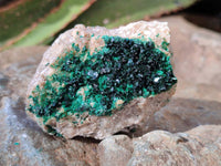 Natural Crystalline Malachite Specimens x 6 From Likasi, Congo - Toprock Gemstones and Minerals