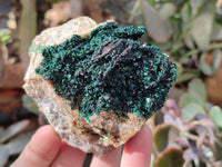 Natural Crystalline Malachite Specimens x 6 From Likasi, Congo - Toprock Gemstones and Minerals