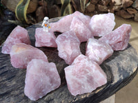 Natural Pink Rose Quartz Cobbed Specimens x 12 From North Cape, South Africa - Toprock Gemstones and Minerals