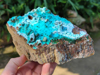 Natural Drusy Coated Chrysocolla with Malachite x 1 From Lupoto Mine, Congo - Toprock Gemstones and Minerals