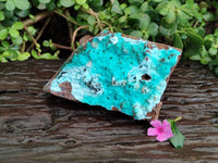 Natural Drusy Coated Chrysocolla with Malachite x 1 From Lupoto Mine, Congo - Toprock Gemstones and Minerals