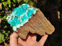 Natural Drusy Coated Chrysocolla with Malachite x 1 From Lupoto Mine, Congo - Toprock Gemstones and Minerals
