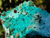 Natural Drusy Coated Chrysocolla with Malachite x 1 From Lupoto Mine, Congo - Toprock Gemstones and Minerals