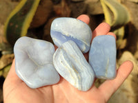 Polished Blue Lace Agate Tumbled Stones x 12 From Malawi - Toprock Gemstones and Minerals