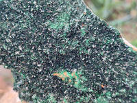 Natural Crystalline Malachite Specimens x 2 From Congo - Toprock Gemstones and Minerals