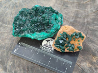 Natural Dioptase on Dolomite Matrix Specimens x 6 From Likasi, Congo - Toprock Gemstones and Minerals