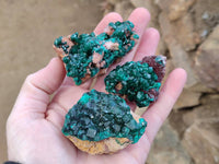 Natural Dioptase on Dolomite Matrix Specimens x 6 From Likasi, Congo - Toprock Gemstones and Minerals