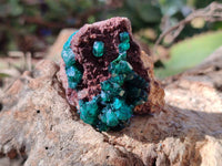 Natural Dioptase on Dolomite Matrix Specimens x 12 From Likasi, Congo - Toprock Gemstones and Minerals