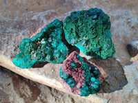 Natural Dioptase on Dolomite Matrix Specimens x 12 From Likasi, Congo - Toprock Gemstones and Minerals