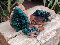 Natural Dioptase on Dolomite Matrix Specimens x 12 From Likasi, Congo - Toprock Gemstones and Minerals