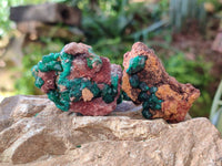Natural Dioptase on Dolomite Matrix Specimens x 12 From Likasi, Congo - Toprock Gemstones and Minerals