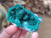Natural Dioptase on Dolomite Matrix Specimens x 6 From Likasi, Congo - Toprock Gemstones and Minerals