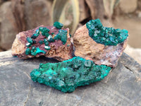 Natural Dioptase on Dolomite Matrix Specimens x 6 From Likasi, Congo - Toprock Gemstones and Minerals