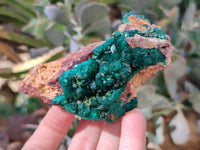 Natural Dioptase on Dolomite Matrix Specimens x 6 From Likasi, Congo - Toprock Gemstones and Minerals