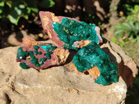 Natural Dioptase on Dolomite Matrix Specimens x 6 From Likasi, Congo - Toprock Gemstones and Minerals