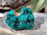 Natural Dioptase on Dolomite Matrix Specimens x 6 From Likasi, Congo - Toprock Gemstones and Minerals