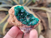 Natural Dioptase on Dolomite Matrix Specimens x 6 From Likasi, Congo - Toprock Gemstones and Minerals
