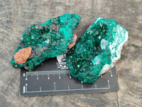 Natural Dioptase on Dolomite Matrix Specimens x 6 From Likasi, Congo - Toprock Gemstones and Minerals