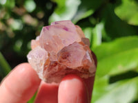 Natural Amethyst Spirit Quartz Crystals x 35 From Boekenhouthoek, South Africa - Toprock Gemstones and Minerals