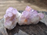Natural Amethyst Spirit Quartz Clusters x 6 From Boekenhouthoek, South Africa - Toprock Gemstones and Minerals