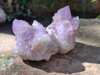 Natural Amethyst Spirit Quartz Clusters x 6 From Boekenhouthoek, South Africa - Toprock Gemstones and Minerals