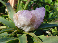 Natural Amethyst Spirit Quartz Clusters x 6 From Boekenhouthoek, South Africa - Toprock Gemstones and Minerals