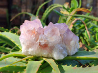 Natural Amethyst Spirit Quartz Clusters x 7 From Boekenhouthoek, South Africa - Toprock Gemstones and Minerals