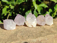 Natural Amethyst Spirit Quartz Clusters x 35 From Boekenhouthoek, South Africa - Toprock Gemstones and Minerals