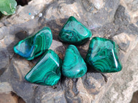 Polished Flower Banded Malachite Tumbled Stones x 35 From Congo - Toprock Gemstones and Minerals