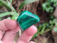 Polished Flower Banded Malachite Tumbled Stones x 35 From Congo - Toprock Gemstones and Minerals