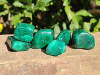 Polished Flower Banded Malachite Tumbled Stones x 35 From Congo - Toprock Gemstones and Minerals