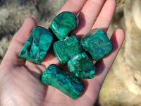 Polished Flower Banded Malachite Tumbled Stones x 35 From Congo - Toprock Gemstones and Minerals
