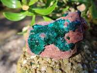 Natural Dioptase Crystals with Malachite on Dolomite Matrix Specimens x 6 From Likasi, Congo - Toprock Gemstones and Minerals